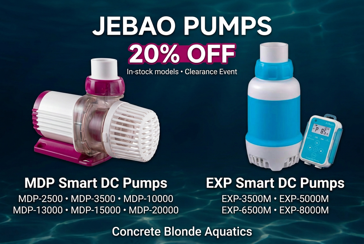 Jebao banner with corrected upright EXP pump
