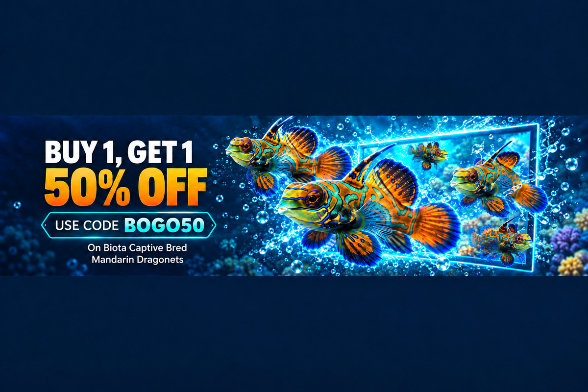 Mandarin banner with updated eligibility text