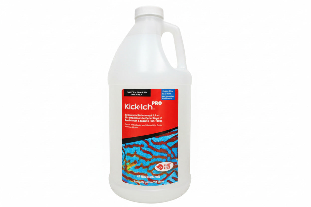 Ruby Reef Kick-Ich Pro